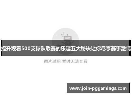 提升观看500支球队联赛的乐趣五大秘诀让你尽享赛事激情