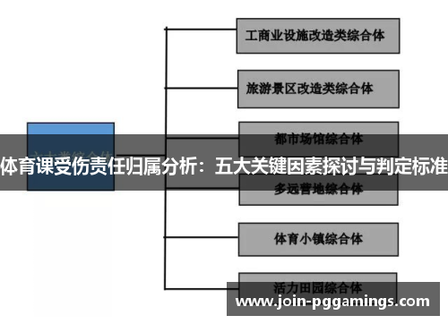 体育课受伤责任归属分析：五大关键因素探讨与判定标准