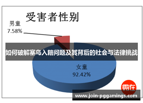 如何破解塞鸟入籍问题及其背后的社会与法律挑战