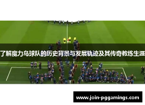 了解魔力鸟球队的历史背景与发展轨迹及其传奇教练生涯