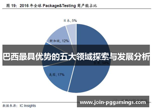 巴西最具优势的五大领域探索与发展分析