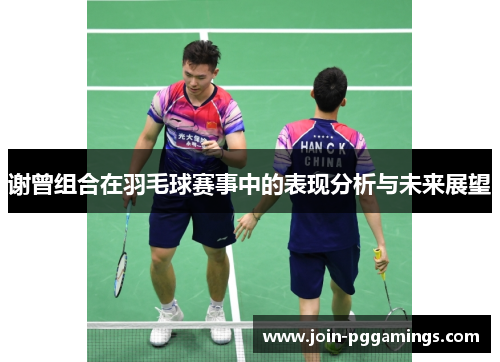 谢曾组合在羽毛球赛事中的表现分析与未来展望