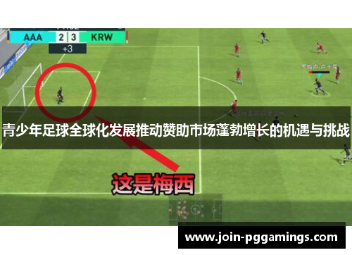 青少年足球全球化发展推动赞助市场蓬勃增长的机遇与挑战